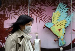 Hong Kong cách ly 17 người do cúm H7N9